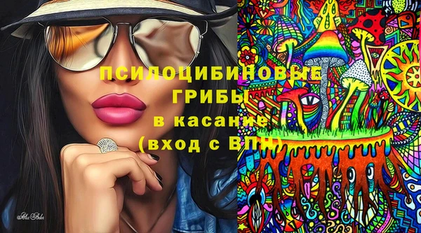марки nbome Гусев