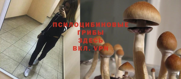 марки nbome Гусиноозёрск