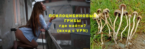 марки nbome Гусев