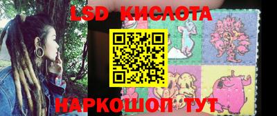 шишки Камышлов