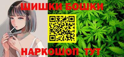 шишки Камышлов