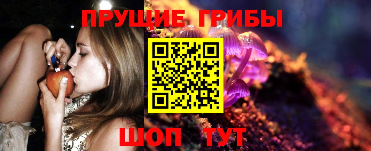 Мценск  Галлюциногенные грибы Psilocybe  продажа наркотиков  Галлюциногенные грибы Magic Shrooms  Вход с VPN 